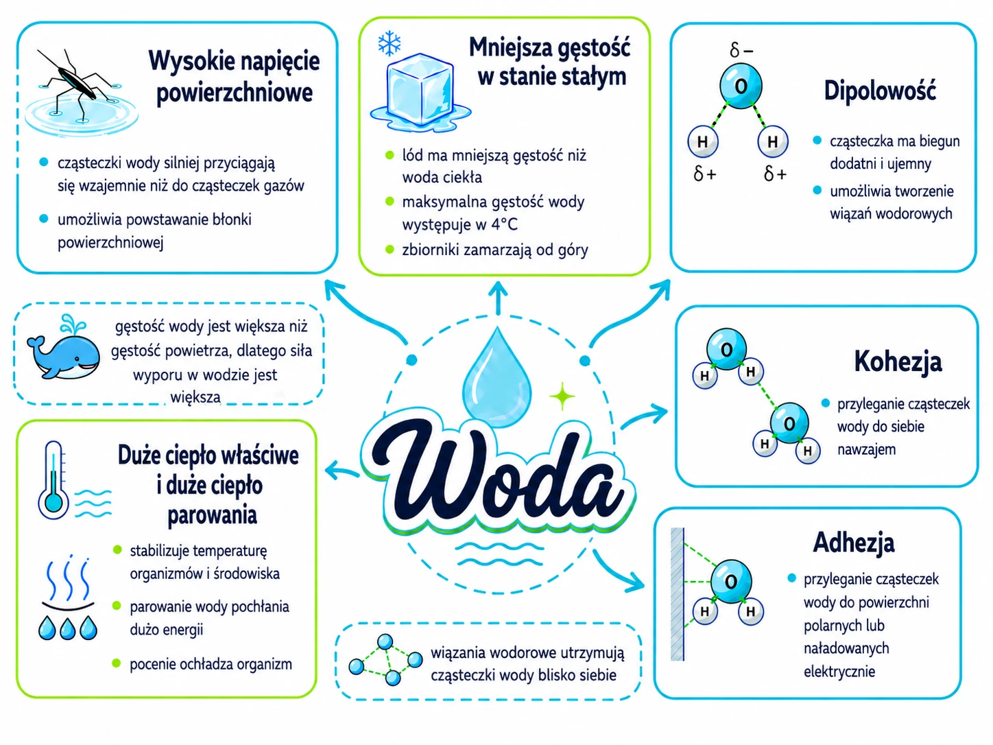 Mapa myśli: Woda, białe tło, do wydruku
